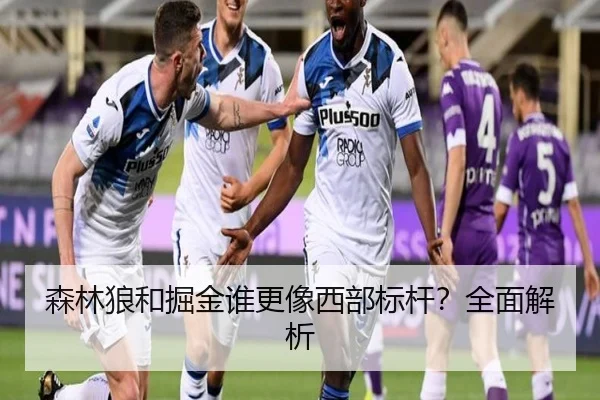 森林狼和掘金谁更像西部标杆？全面解析