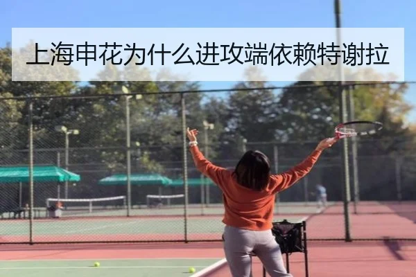 上海申花为什么进攻端依赖特谢拉